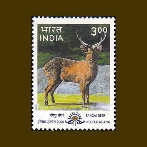 National Games Mascot