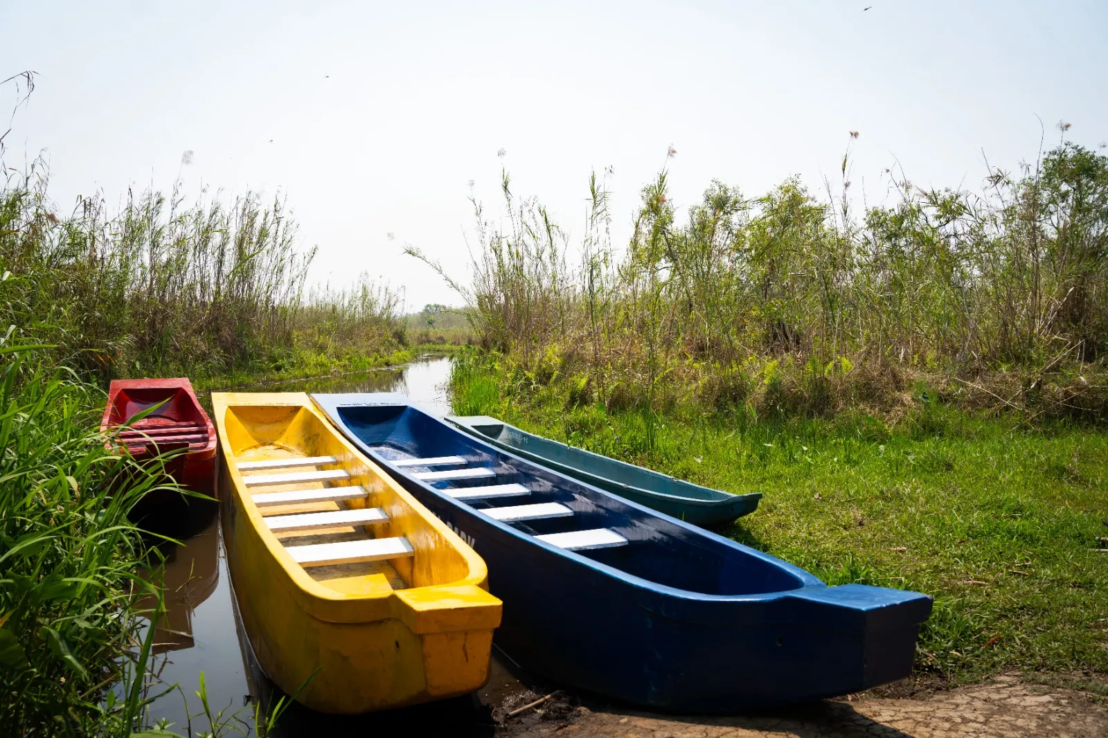 Boat Tours